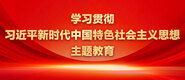 粗大插入娇嫩不停律动学习贯彻习近平新时代中国特色社会主义思想主题教育_fororder_ad-371X160(2)